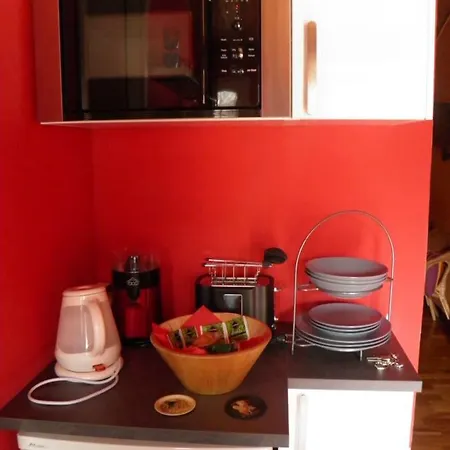 公寓 米兰屋顶小屋公寓 *