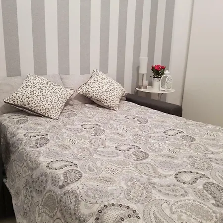 Cozy Brand New Studio-monolocale Apartment