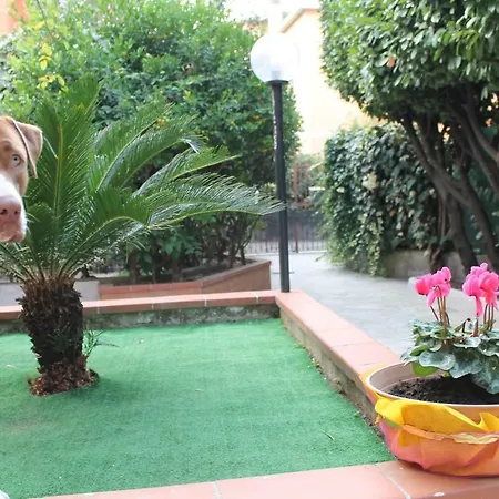 Guest house La