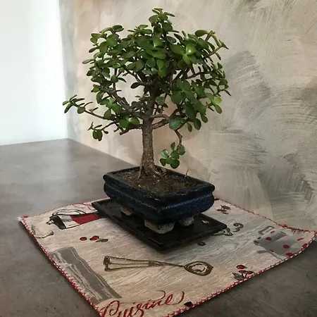 Apartamento Accogliente Bilocale *