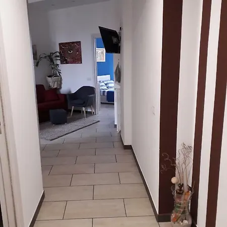 Maxdany's *