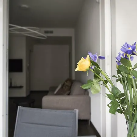 Apartment Design & New Center *