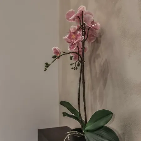 Stylish Near Duomo شقة ميلان