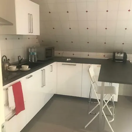 On The Floor Watching Citylife And Mico