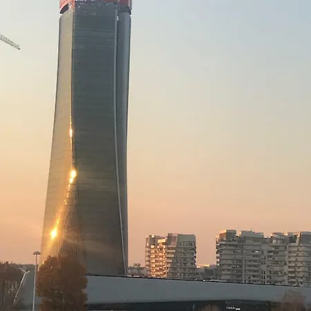 On The Floor Watching Citylife And Mico *