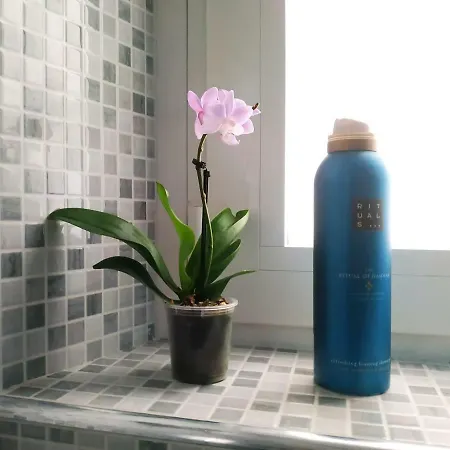 Apartmán Milky House