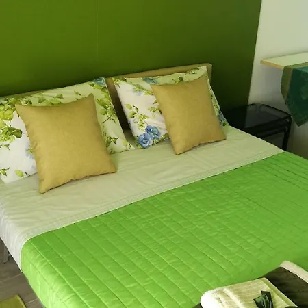 Linea Verde *