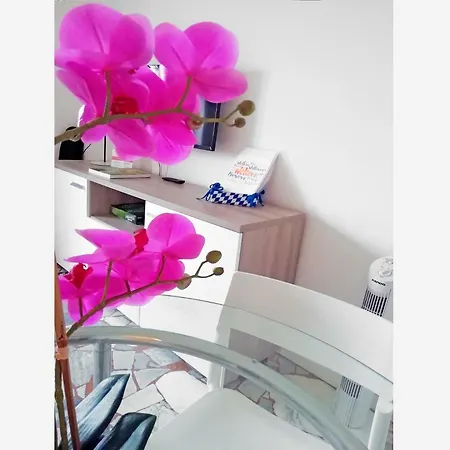 Appartement Alzaia Naviglio Pavese Milaan