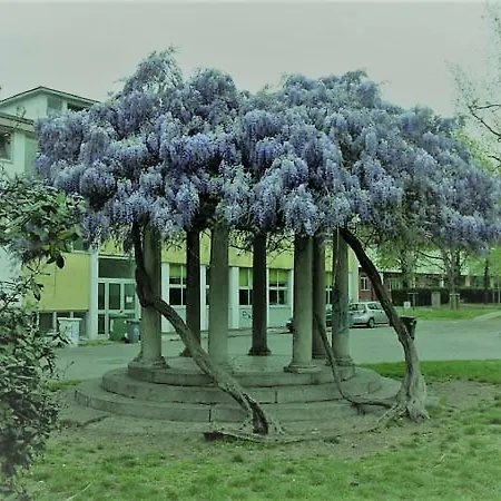 Luna Apartment