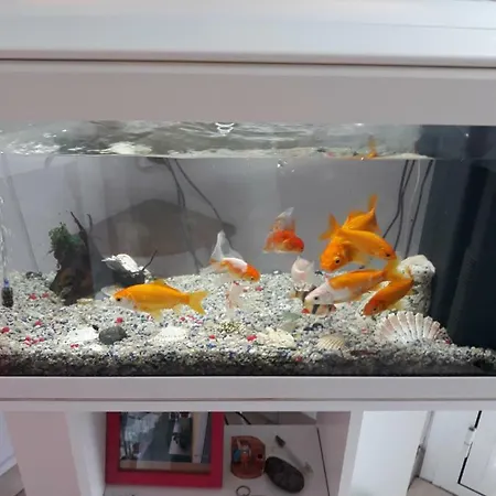 Gæstehus House Milano