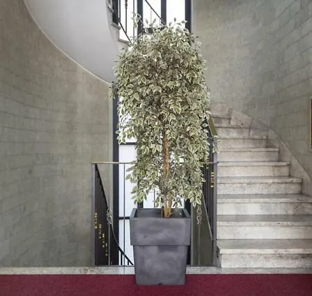 Hozyhome- Duomo In Via San Pietro All'orto