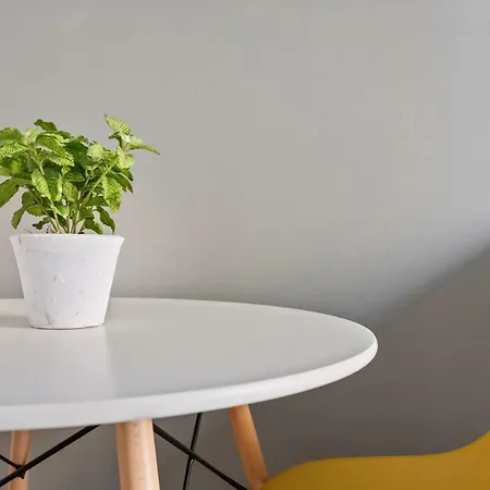Insubria Apartment