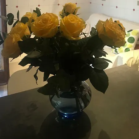 On The Floor Watching Citylife And Mico Apartament Mediolan