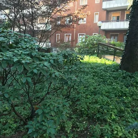 On The Floor Watching Citylife And Mico