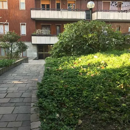 On The Floor Watching Citylife And Mico *