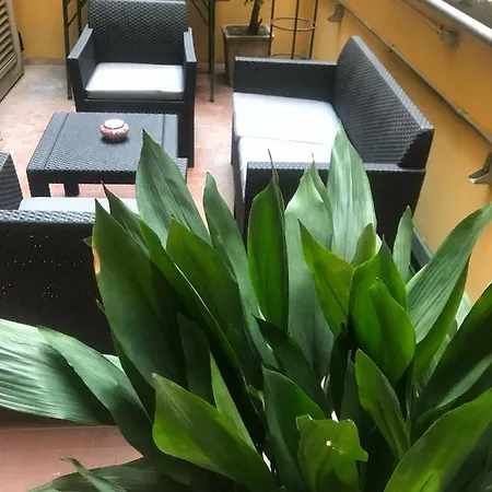 艺术之家度假屋 *