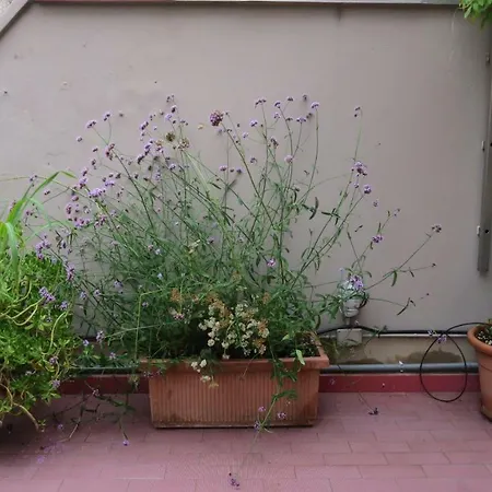 Appartamento Gambara Terrace *