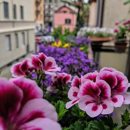 Casa Glicine Szálloda Milánó