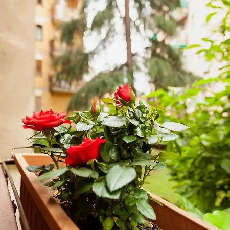Appartement Your Luxo