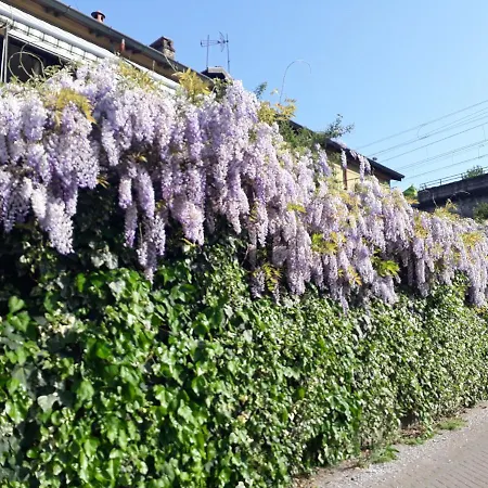 Casa Somare