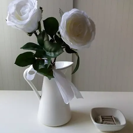 Apartment Serendipity House *