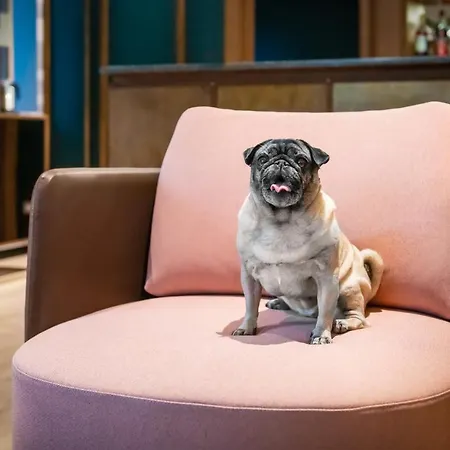 酒店 加拿大酒店 3*