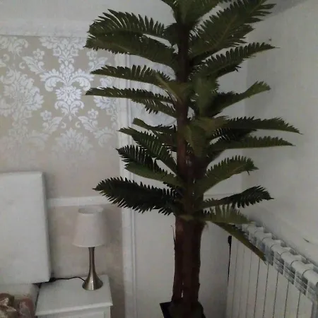 In Private Basement In Shared Penzion *