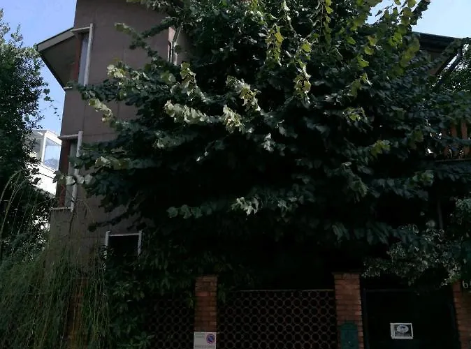 Il Vicolo *