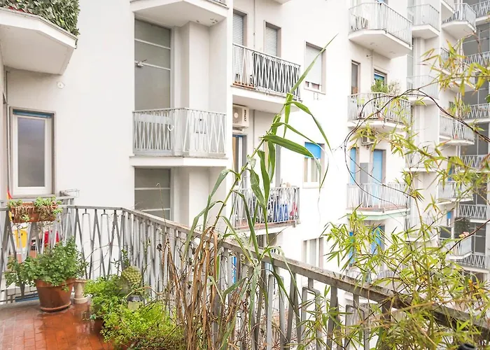 Hacca Collection - Porta Romana *