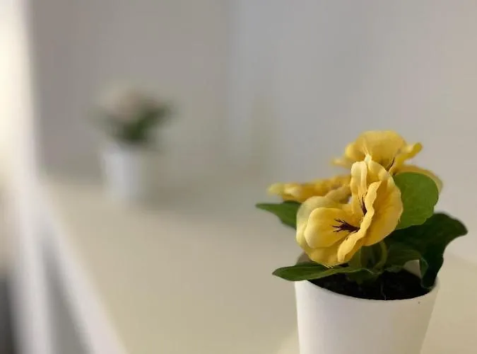 A Casa Di Beatrice *