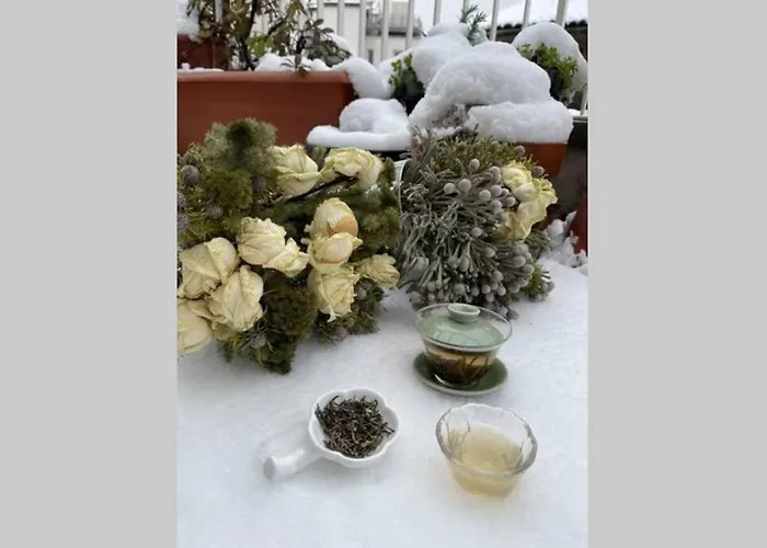 公寓 Duomo Milano Apartment 2 Rooms Slow Maison *