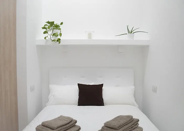 Brand New Ortiquattro *