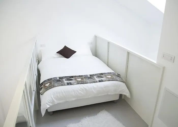 Brand New Ortiquattro *