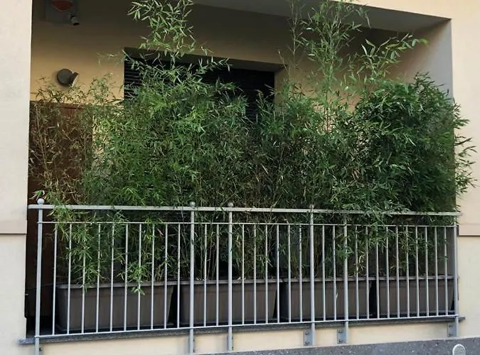 Youhosty - Faruffini 28 * Milaan