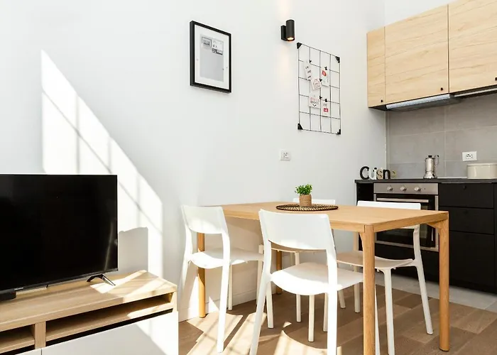 Joivy Solari Tolstoj *