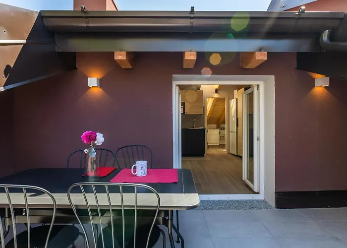 Joivy Solari Tolstoj *