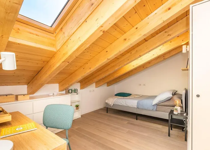 Joivy Solari Tolstoj *