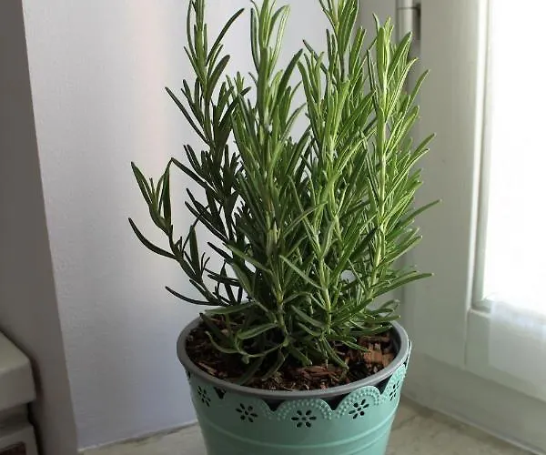 Daire Squisito In Stabile Vecchia Milano