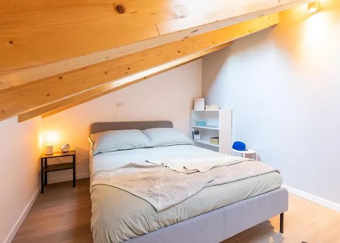 Joivy Solari Tolstoj *