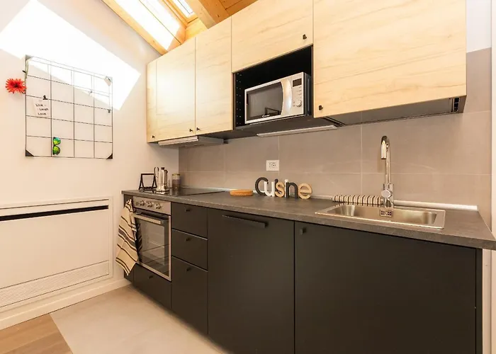 Joivy Solari Tolstoj Milánó