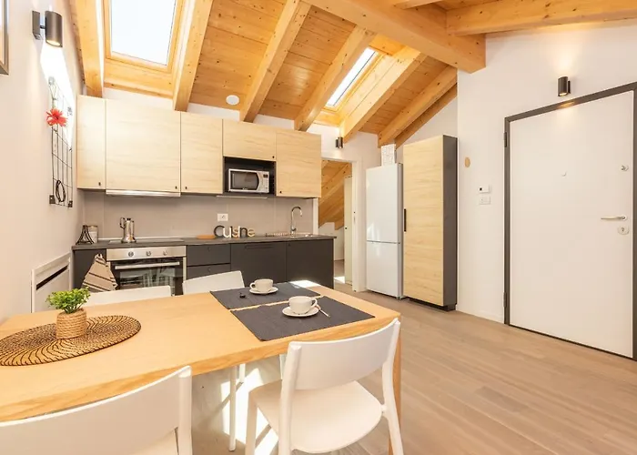 Joivy Solari Tolstoj *