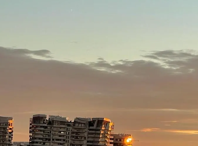 On The Floor Watching Citylife And Mico