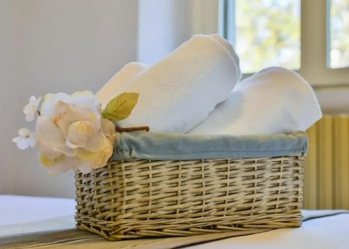 Bacone Liberty Olimpia