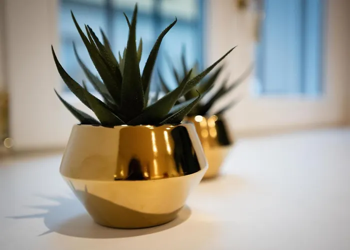 Apartmán Easylife - - Borgonuovo 4d - Centro Storico