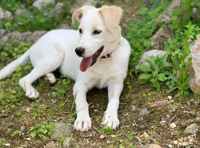 Spazio Luna * 밀라노