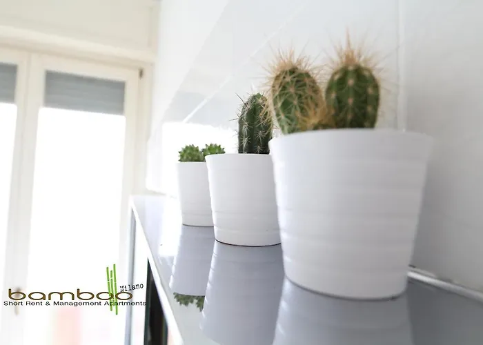Apartmán Bamboo Papiniano Loft