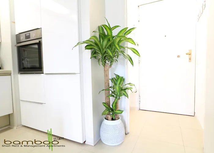 Apartmán Bamboo Papiniano Loft *