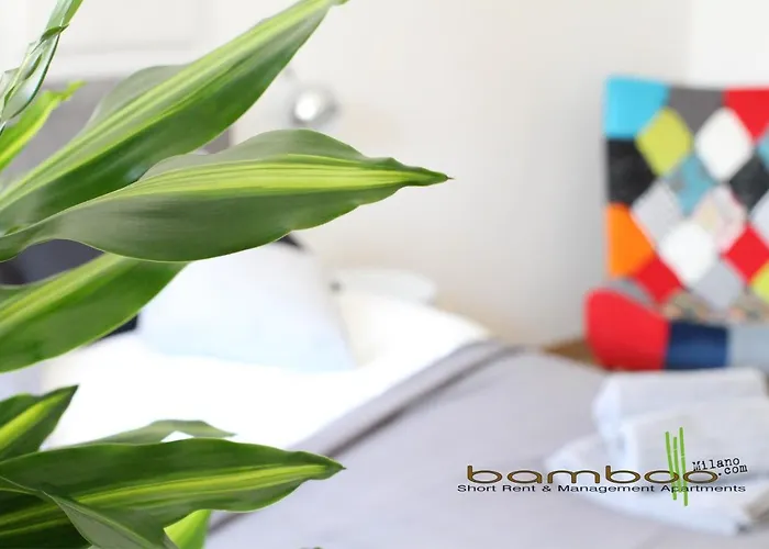 Bamboo Zezonplus Apartamento