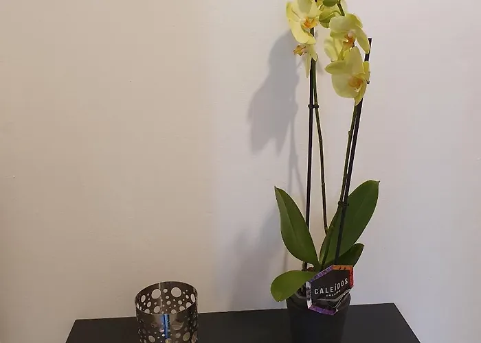 Tolstoj Apartment MIlano Appartamento