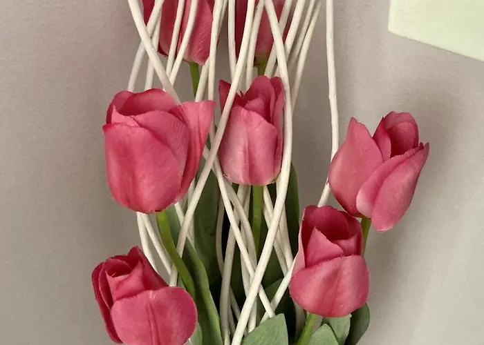 Daire Squisito In Stabile Vecchia